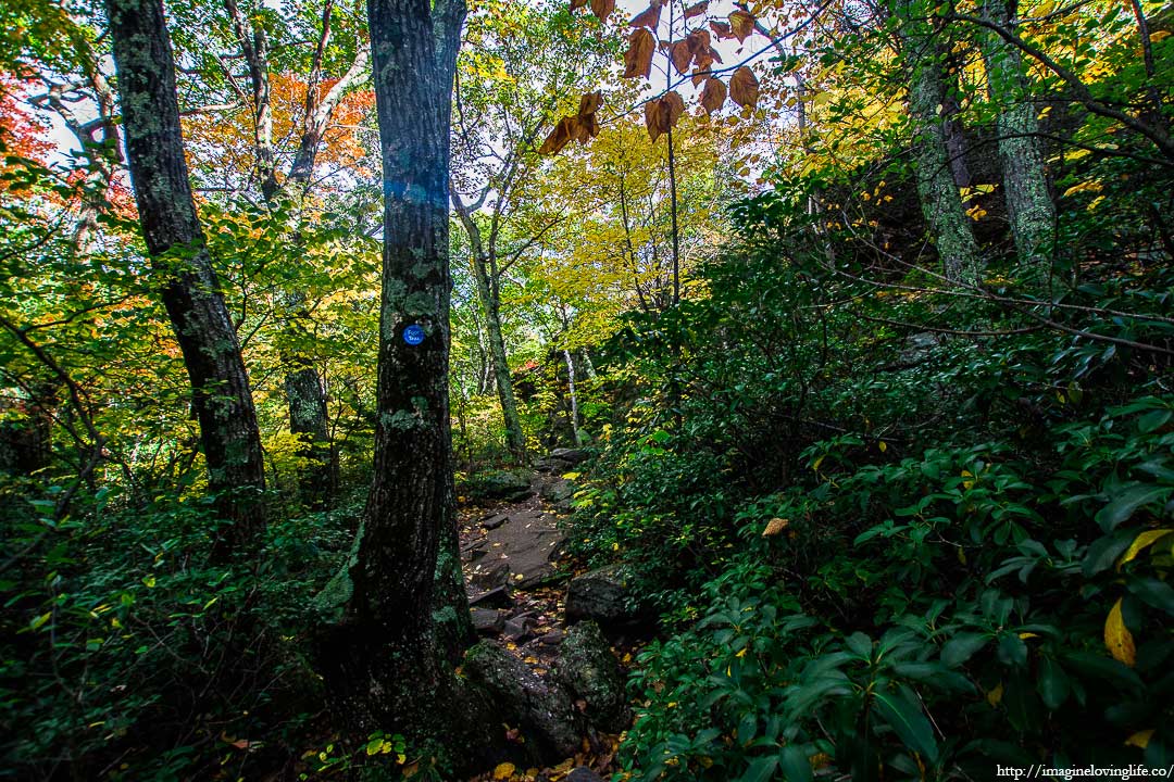 catskills escarpment trail